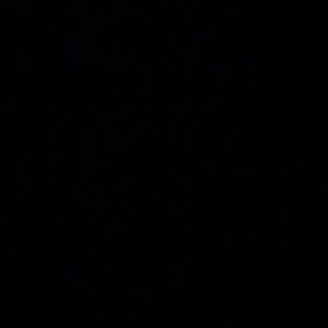 Meet your Posher, Genevieve